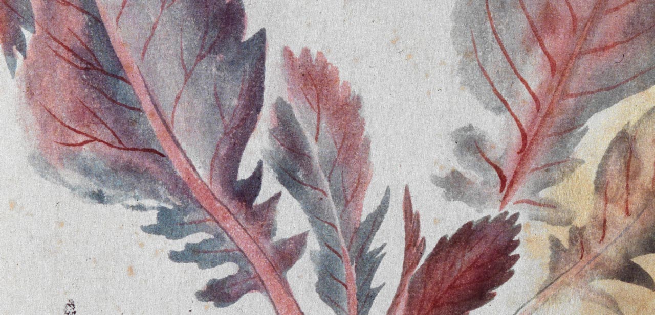 Featured Product Image